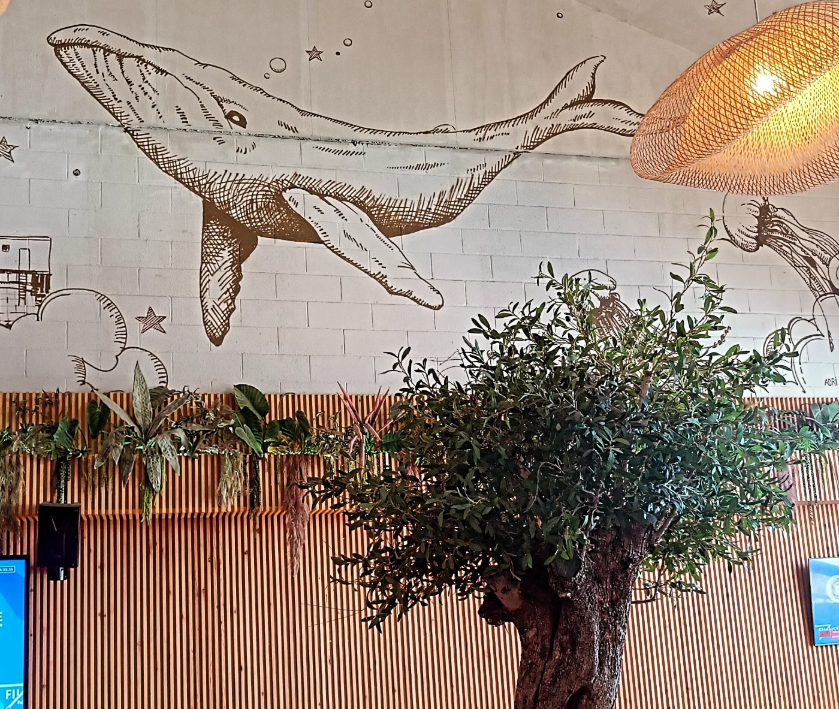 Interior Passarola — olivo y mural